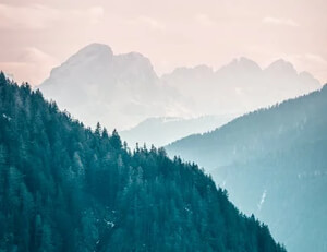 长沙茶馆，一壶一茶，共融于味的包容哲学